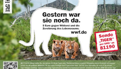 WWF_Tiger_AZ_2013
